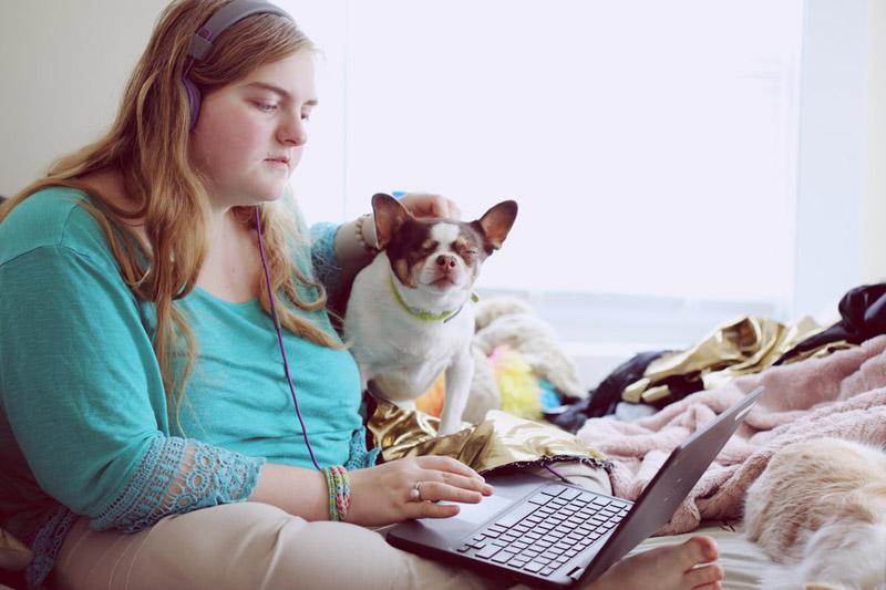 girl dog laptop